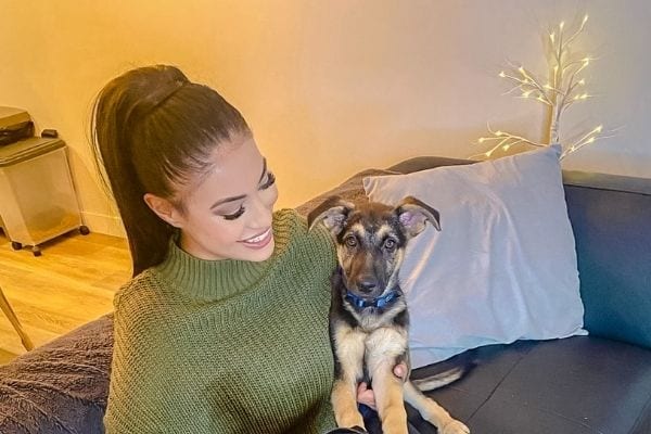 pet friendly rentals 