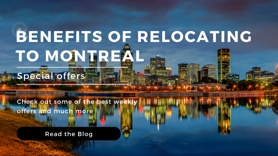 Relocating to montreal, rentals in montreal, apartments for rent, furnished apartments for rent, Relocating to montreal, rentals in montreal, apartments for rent, furnished apartments for rent, Relocating to montreal, rentals in montreal, apartments for rent, furnished apartments for rent, Relocating to montreal, rentals in montreal, apartments for rent, furnished apartments for rent, Relocating to montreal, rentals in montreal, apartments for rent, furnished apartments for rent, Relocating to montreal, rentals in montreal, apartments for rent, furnished apartments for rent, Relocating to montreal, rentals in montreal, apartments for rent, furnished apartments for rent, Relocating to montreal, rentals in montreal, apartments for rent, furnished apartments for rent, Relocating to montreal, rentals in montreal, apartments for rent, furnished apartments for rent,