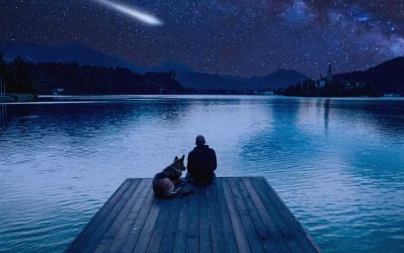 Copy of Shooting Stars copy 1 2115f139