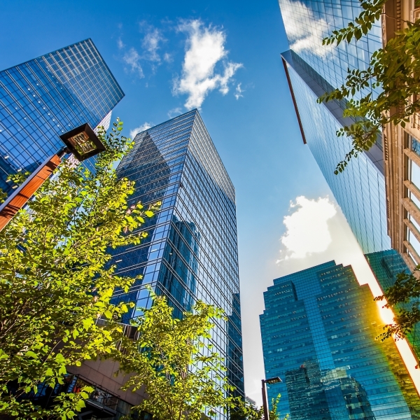 Furnished Rental Appartments in Edmonton Canada 2319a764