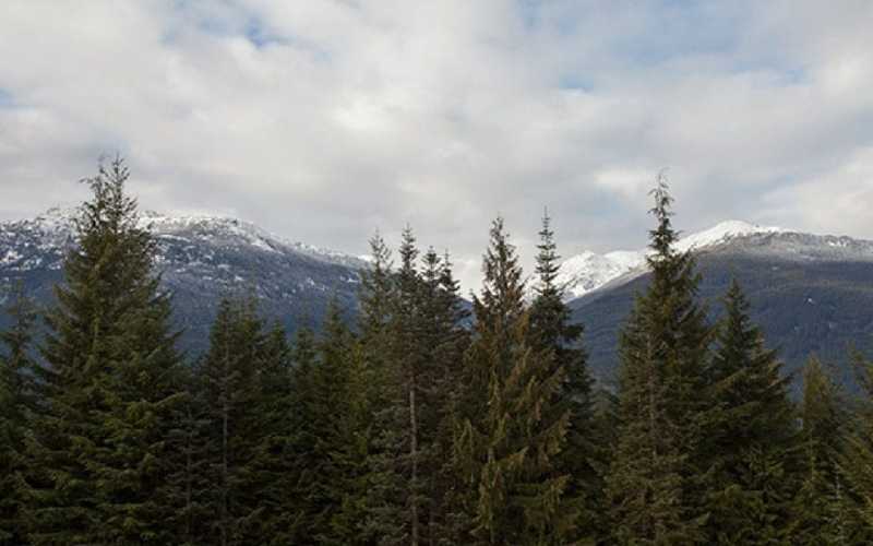 Luxury Chalet Whistler Painted Cliff 12 11 4667a114