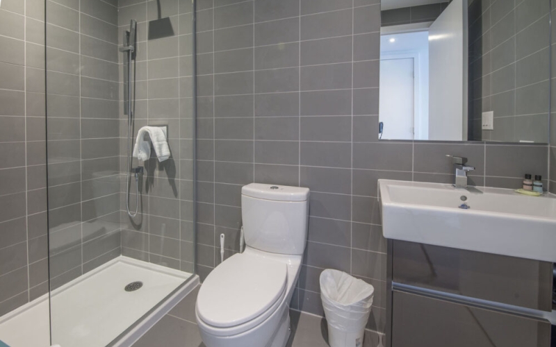 Furnished 1 Bedroom Loft in Ottawa