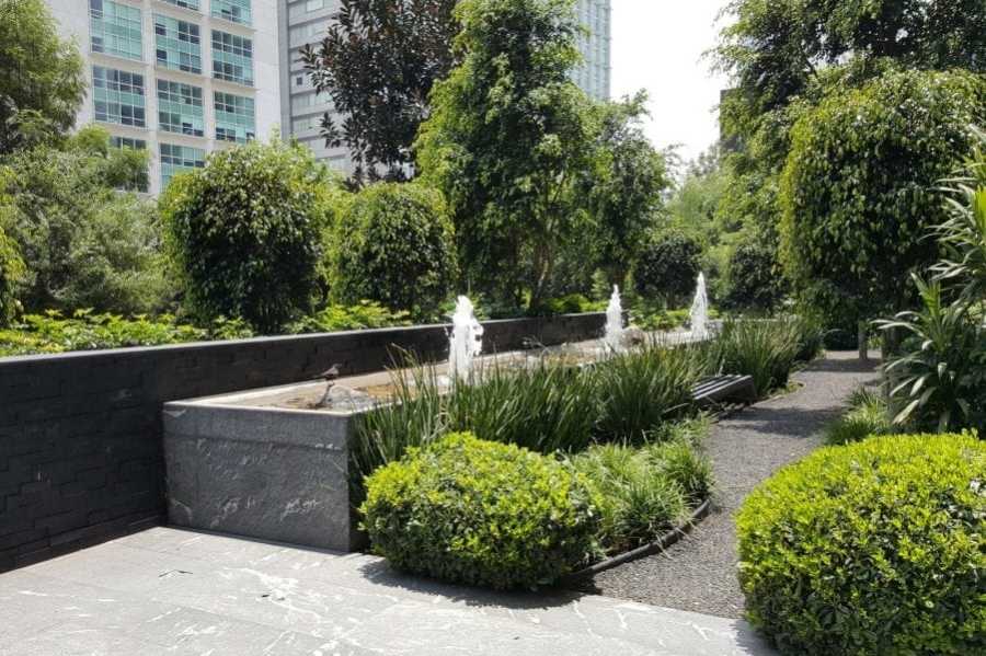 Trip to Mexico Trip to Mexico Trip to Mexico Trip to Mexico Trip to Mexico Trip to Mexico Trip to Mexico Trip to Mexico Trip to Mexico Trip to Mexico Trip to Mexico Trip to Mexico