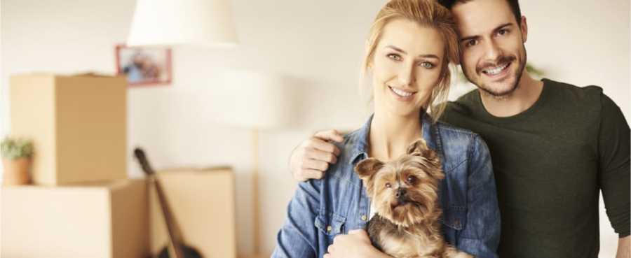 pet-friendly apartments pet-friendly apartments pet-friendly apartments pet-friendly apartments pet-friendly apartments pet-friendly apartments pet-friendly apartments pet-friendly apartments pet-friendly apartments pet-friendly apartments pet-friendly apartments pet-friendly apartments