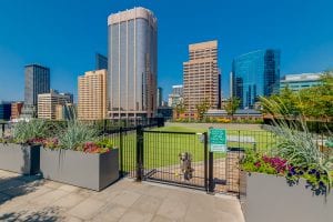 SODO amenities - dog park