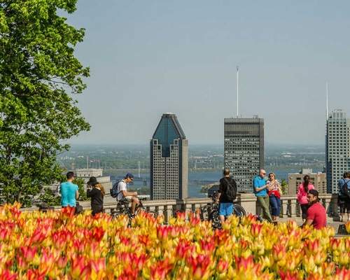 Experience Spring in Montreal Like a Local: 7 Things To Do
