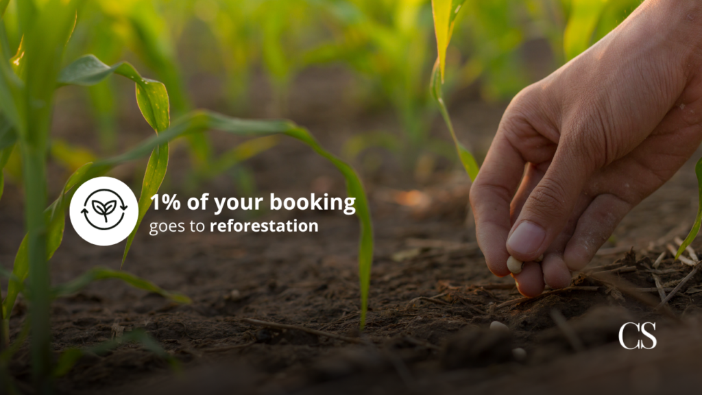 Corporate Stays donate 1 percent of your booking to reforestation