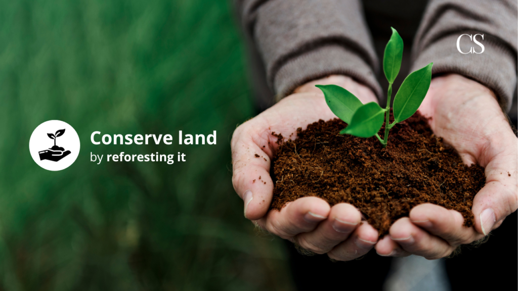 Corporate Stays helps conserve land by reforesting it