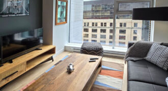 Pet-Friendly Furnished 1B Rental in Montreal with Skyline Views & Concierge