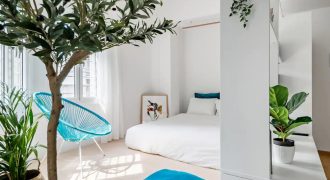 Blue Accented Boutique Apartment