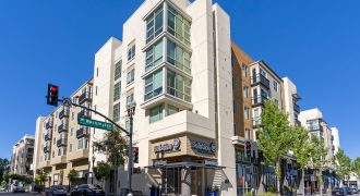 Solstice Apartments