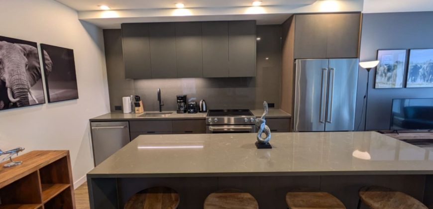 Luxe 2BR Apt with Balcony near Johnson Street