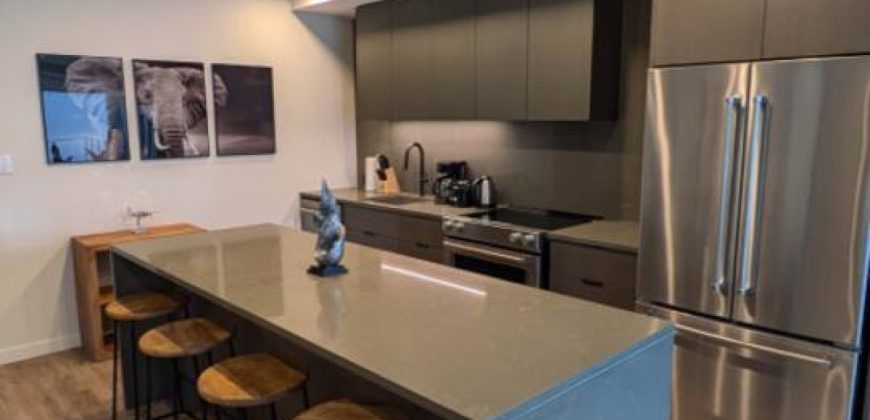 Luxe 2BR Apt with Balcony near Johnson Street