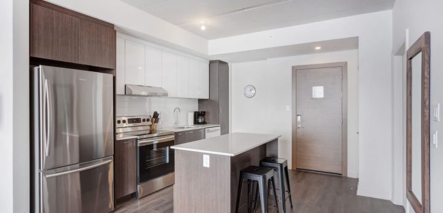 Corporate Stays |Equinoxe 1 Bedroom