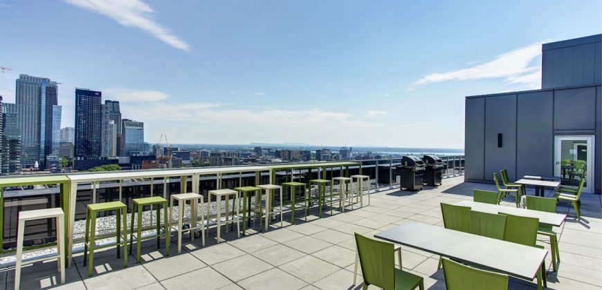 Corporate Stays | Le Shaughn 1 Bedroom