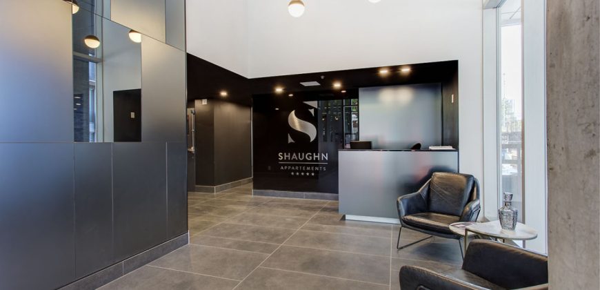 Corporate Stays | Le Shaughn 1 Bedroom