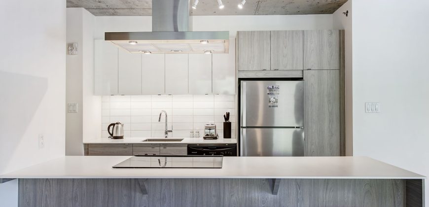 Montreal 2 Bedrooms Apartment