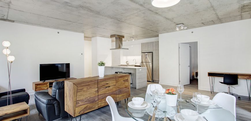 Montreal 2 Bedrooms Apartment