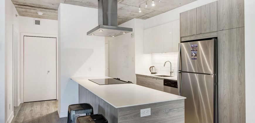 Montreal 2 Bedrooms Apartment