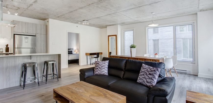 Montreal 2 Bedrooms Apartment