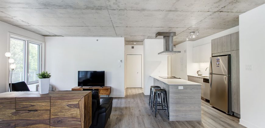 Montreal 2 Bedrooms Apartment