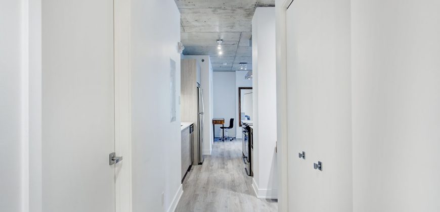 Montreal 2 Bedrooms Apartment
