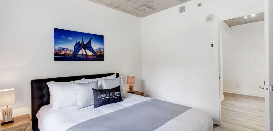 Montreal 2 Bedrooms Apartment