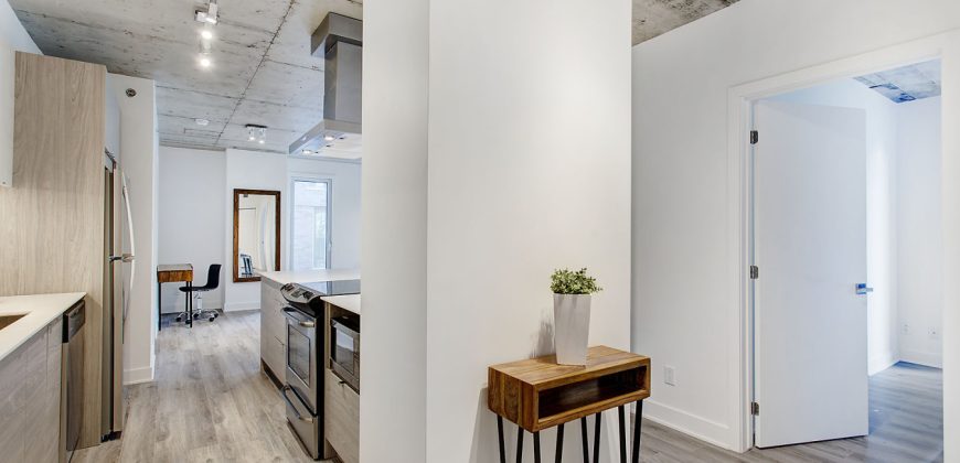 Montreal 2 Bedrooms Apartment