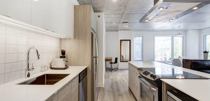 Montreal 2 Bedrooms Apartment