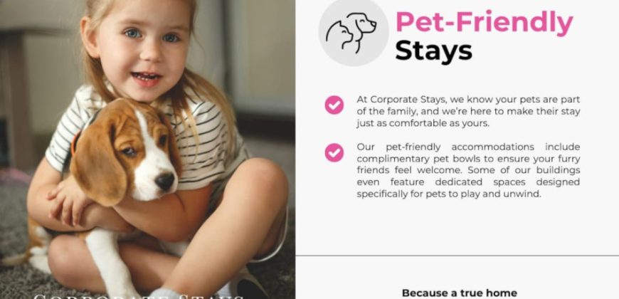 Montreal 1 Bedroom Apartment