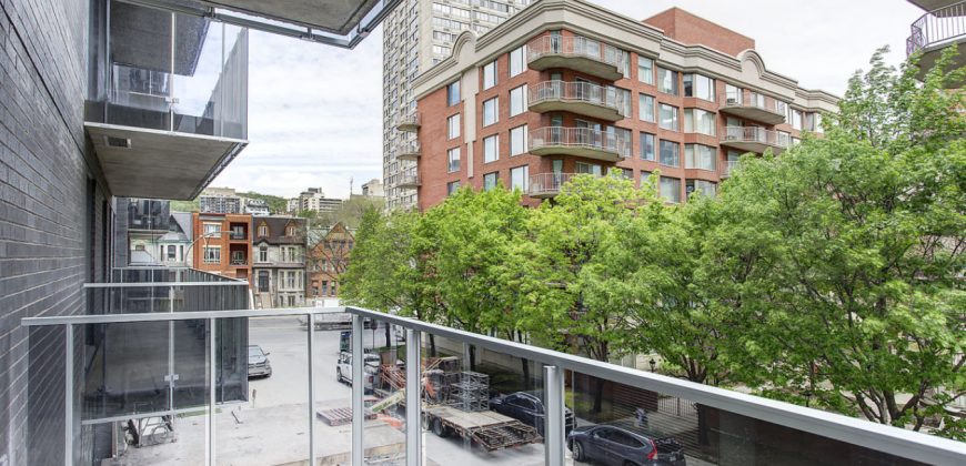 Montreal 1 Bedroom Apartment