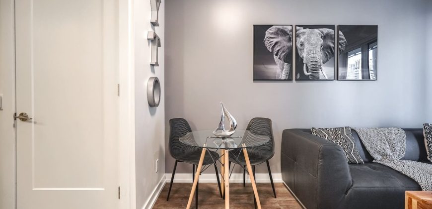 Toronto 1 Bedroom Apartment
