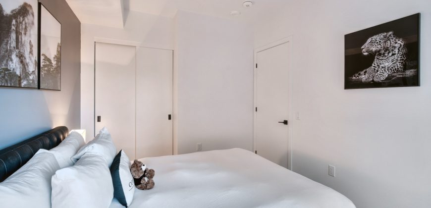 The Lennox – 1 Bedroom Rental with Stunning Views of the Ottawa City (517)