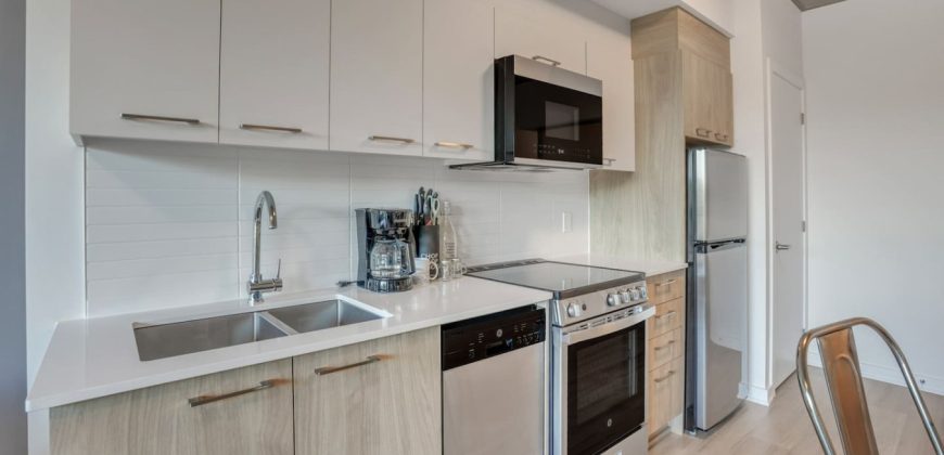 Robinson – Stylish 1-Bedroom Apartment in Sandy Hill, Ottawa (510)