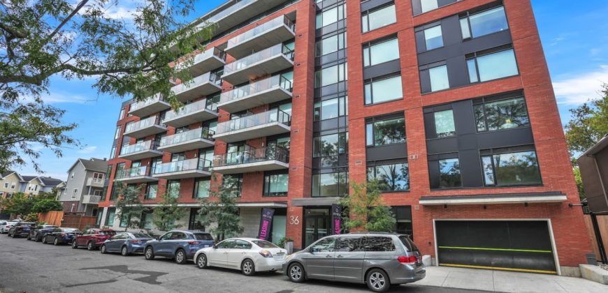 Robinson – Stylish 1-Bedroom Apartment in Sandy Hill, Ottawa (510)