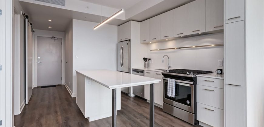 Calgary 1 Bedroom Apartment