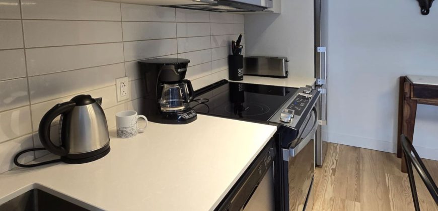 Pet-Friendly Furnished 1B Rental in Montreal with Skyline Views & Concierge