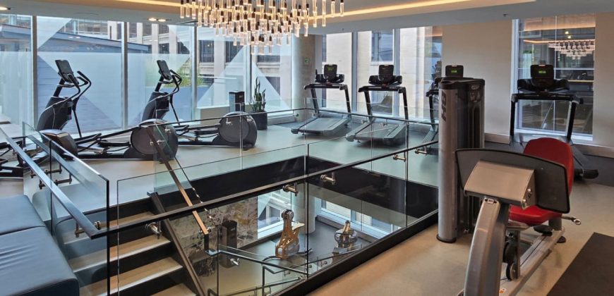 Pet-Friendly Furnished 1B Rental in Montreal with Skyline Views & Concierge