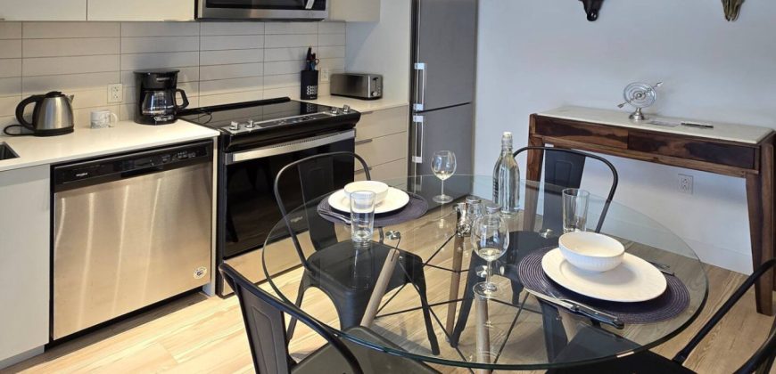 Pet-Friendly Furnished 1B Rental in Montreal with Skyline Views & Concierge