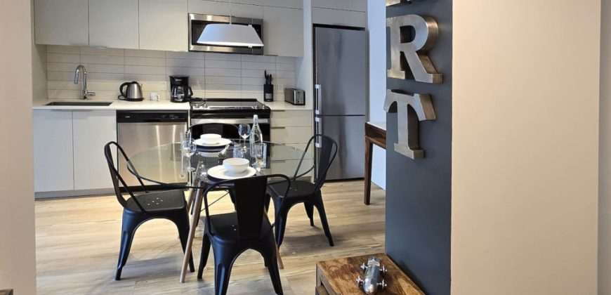 Pet-Friendly Furnished 1B Rental in Montreal with Skyline Views & Concierge