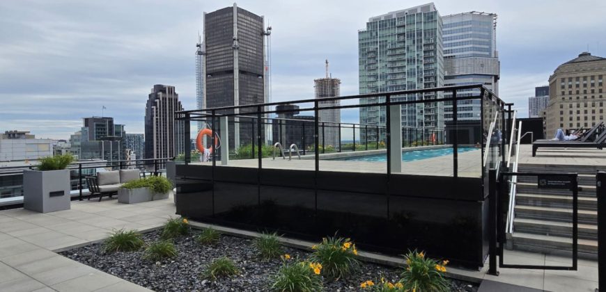 Pet-Friendly Furnished 1B Rental in Montreal with Skyline Views & Concierge