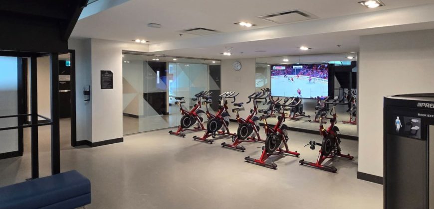 Pet-Friendly Furnished 1B Rental in Montreal with Skyline Views & Concierge