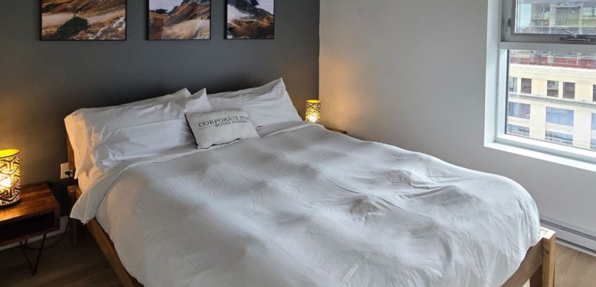 Pet-Friendly Furnished 1B Rental in Montreal with Skyline Views & Concierge