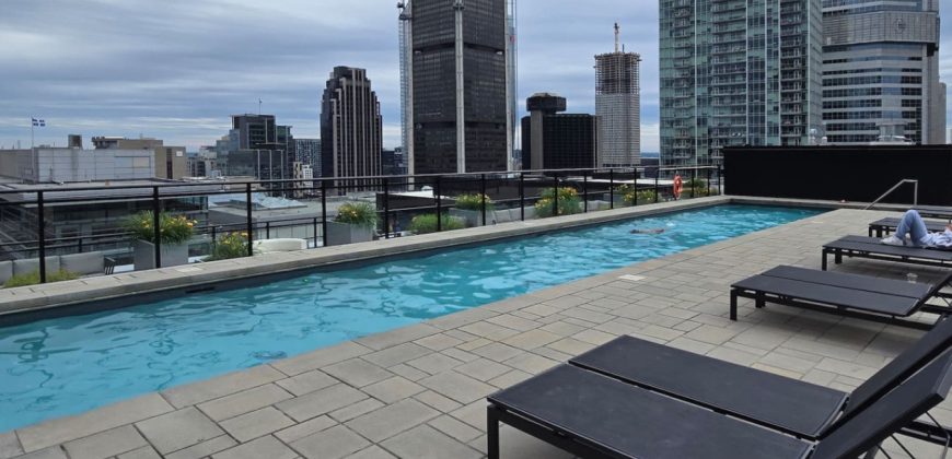 Pet-Friendly Furnished 1B Rental in Montreal with Skyline Views & Concierge