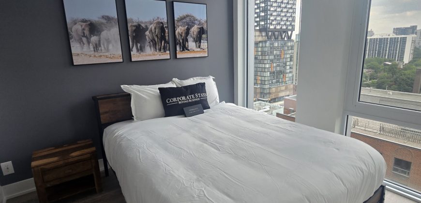 Pet-friendly High-End Rental 1 bedroom in Toronto Pet-friendly High-End Rental 1 bedroom in Toronto