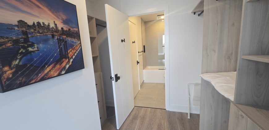 Pet-friendly High-End Rental 1 bedroom in Toronto Pet-friendly High-End Rental 1 bedroom in Toronto