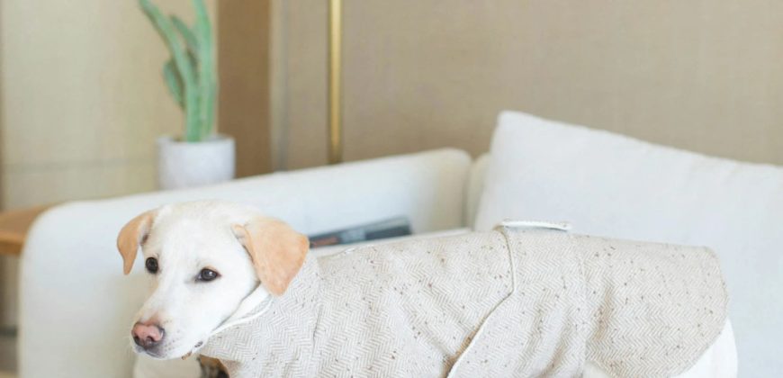 Montreal – C Lofts Le Smith – 2B1B (1006)