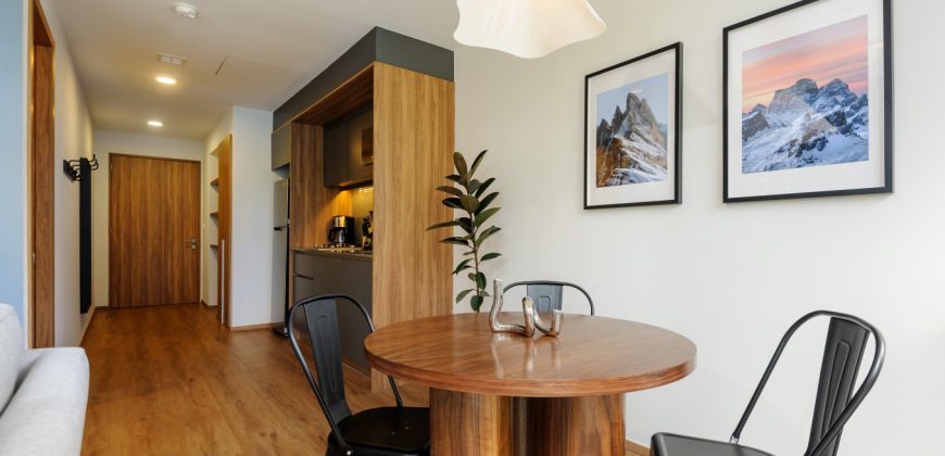 Pet friendly Furnished 1BR Rental in Mexico City