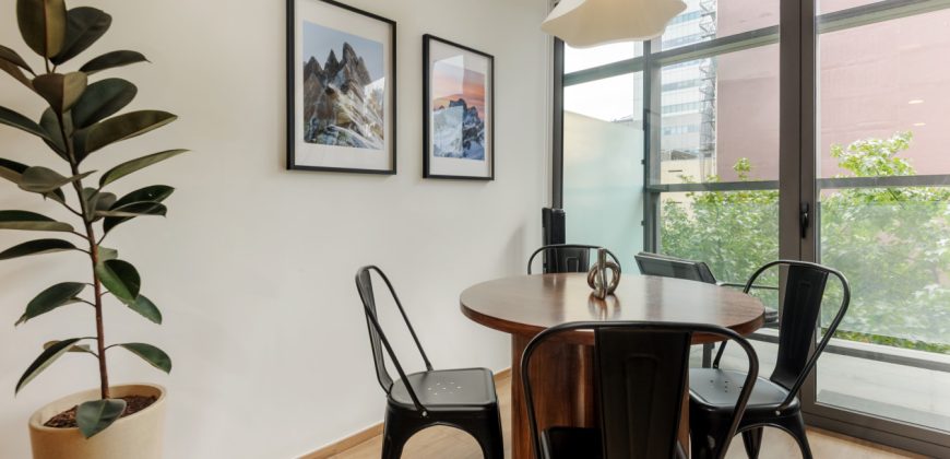 Pet friendly Furnished 1BR Rental in Mexico City