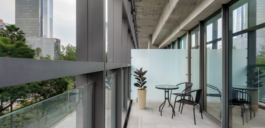 Pet friendly Furnished 1BR Rental in Mexico City